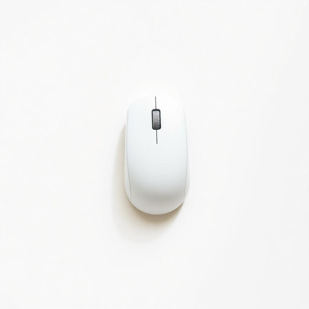 Wireless Mouse